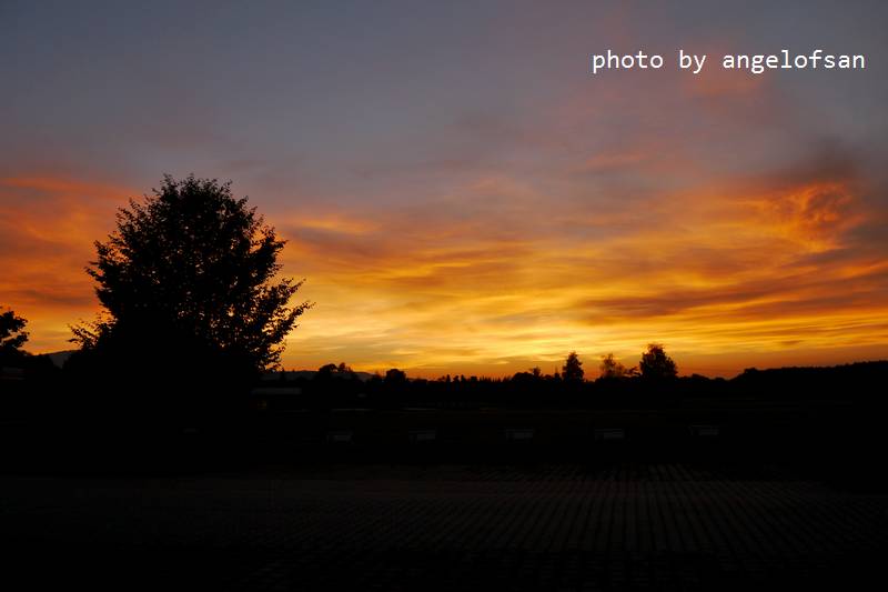 P1170939.JPG P1170939.JPG