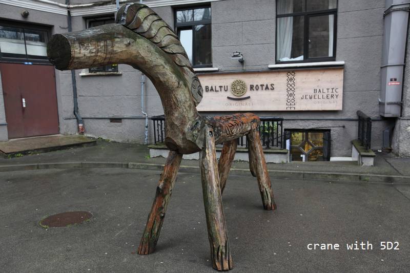 IMG_0116.JPG IMG_0116.JPG