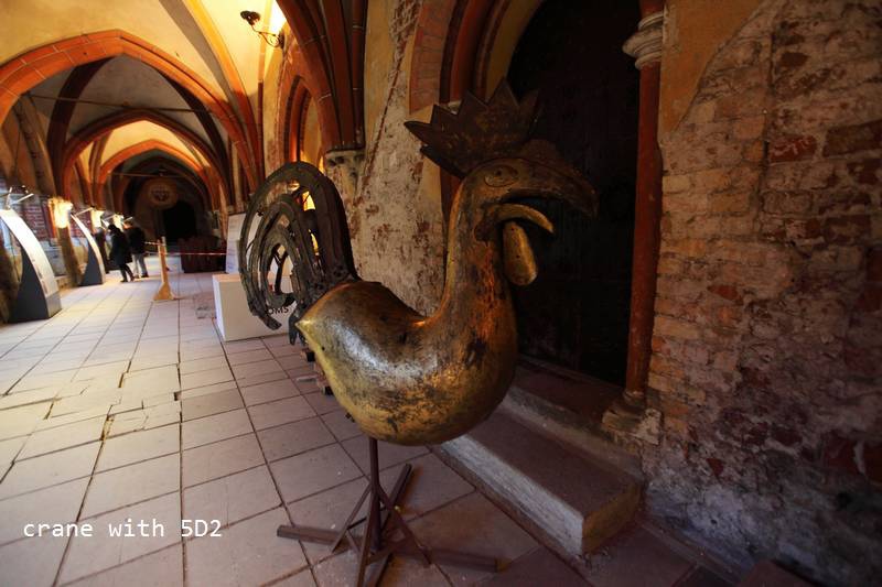 IMG_0252.JPG IMG_0252.JPG