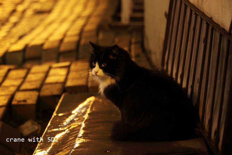 IMG_0351.JPG IMG_0351.JPG