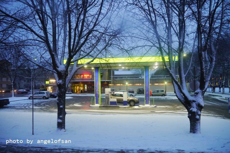 P1070318.JPG P1070318.JPG