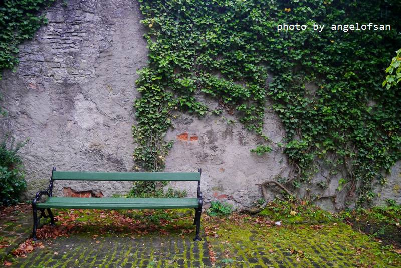 P1150196.JPG P1150196.JPG