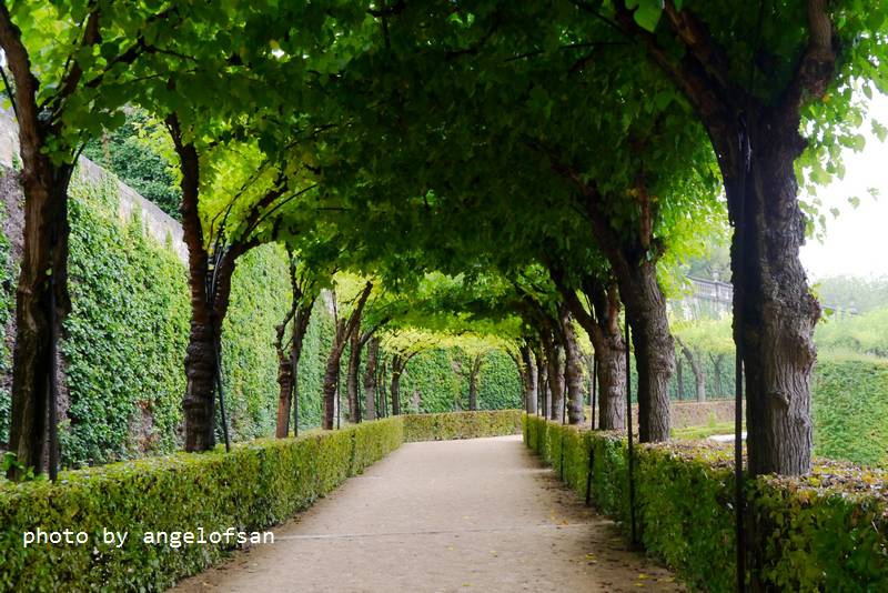 P1150198.JPG P1150198.JPG