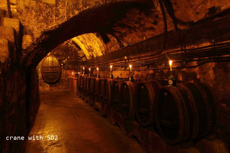 IMG_3771.JPG IMG_3771.JPG