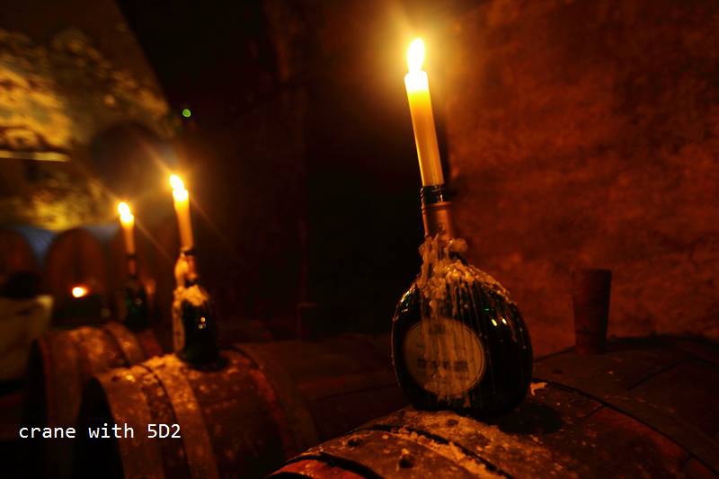 IMG_3772.JPG IMG_3772.JPG