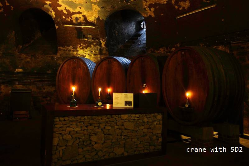 IMG_3774.JPG IMG_3774.JPG