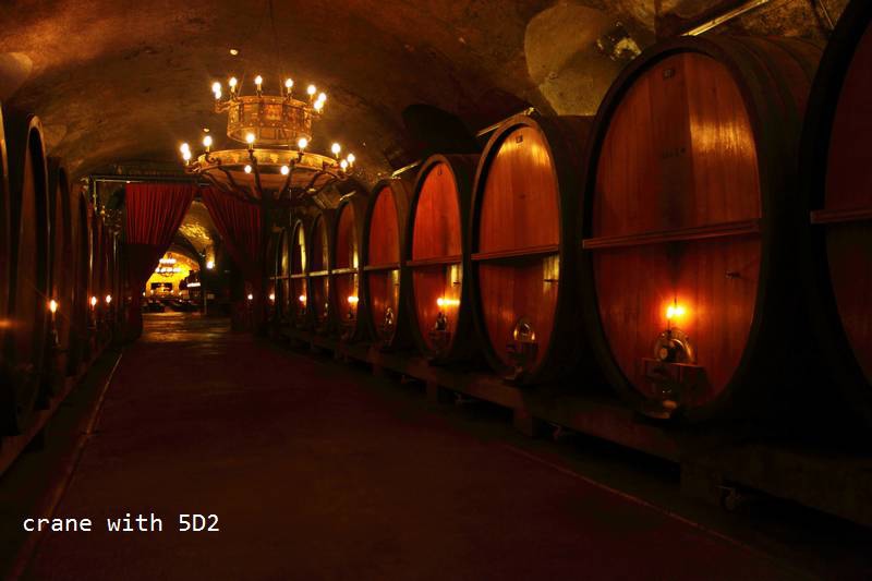 IMG_3807.JPG IMG_3807.JPG