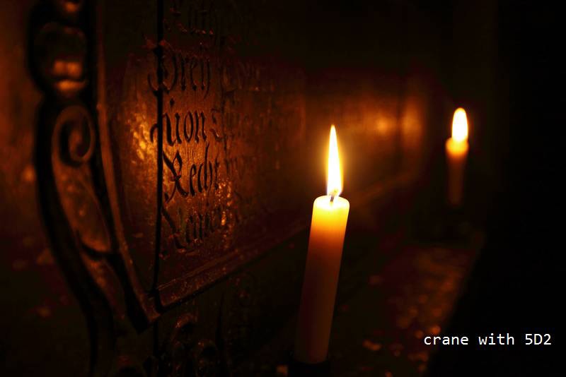 IMG_3831.JPG IMG_3831.JPG