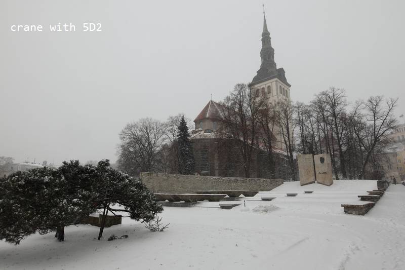 IMG_0395.JPG IMG_0395.JPG