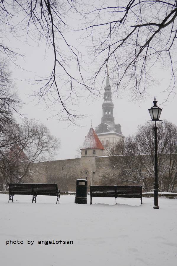 P1070860.JPG P1070860.JPG