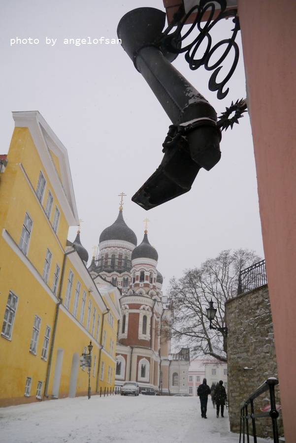 P1070821.JPG P1070821.JPG