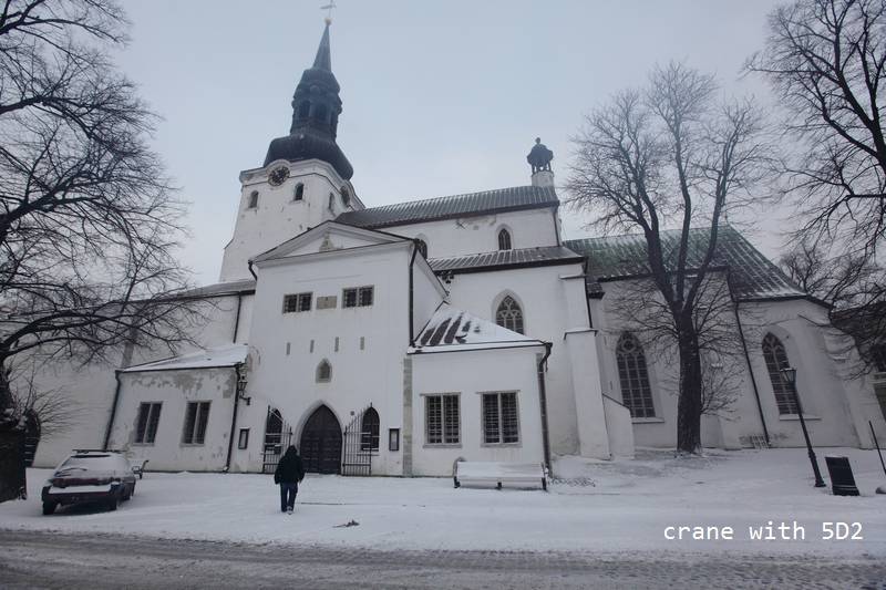 IMG_0493.JPG IMG_0493.JPG