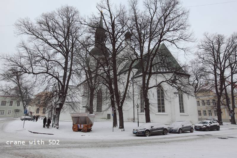 IMG_0558.JPG IMG_0558.JPG