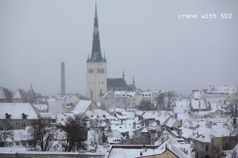 IMG_0523.JPG IMG_0523.JPG