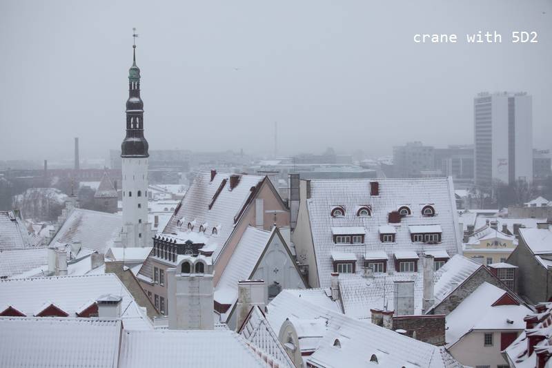 IMG_0531.JPG IMG_0531.JPG