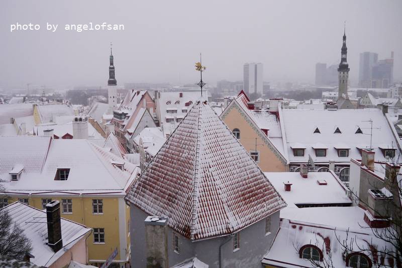 P1070936.JPG P1070936.JPG