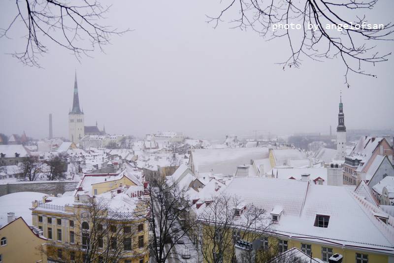 P1070948.JPG P1070948.JPG