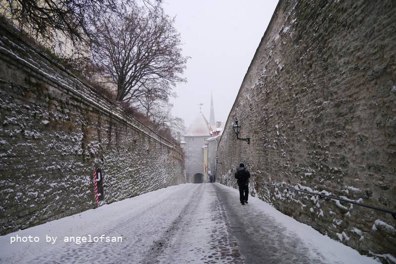 P1070973.JPG P1070973.JPG