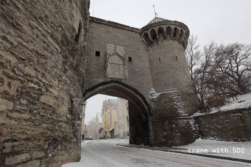 IMG_0669.JPG IMG_0669.JPG