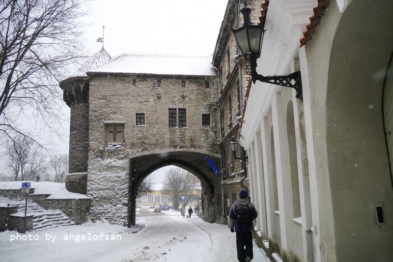 P1080043.JPG P1080043.JPG