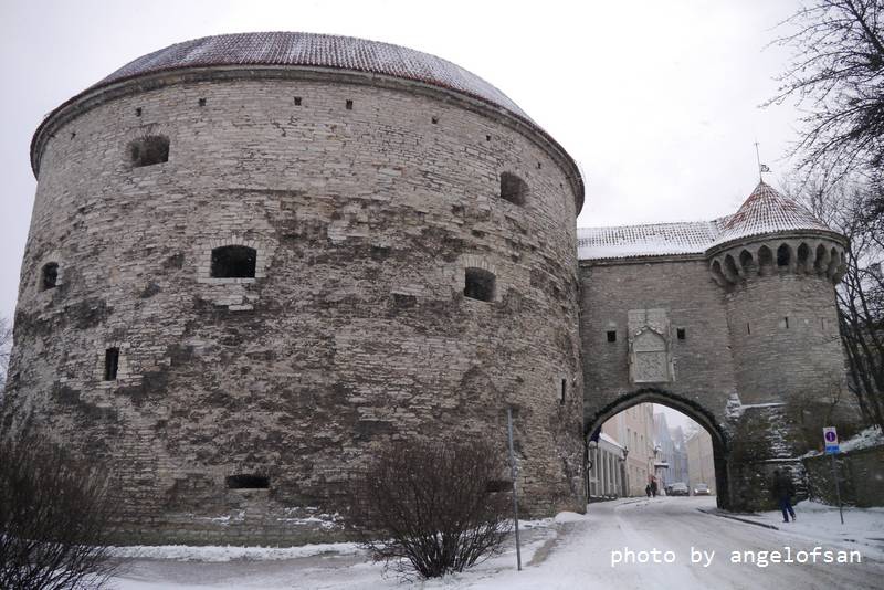 P1080048.JPG P1080048.JPG