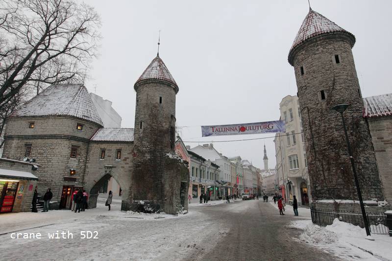 IMG_0778.JPG IMG_0778.JPG