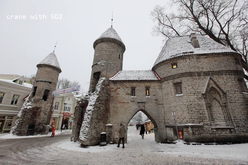 IMG_0779.JPG IMG_0779.JPG