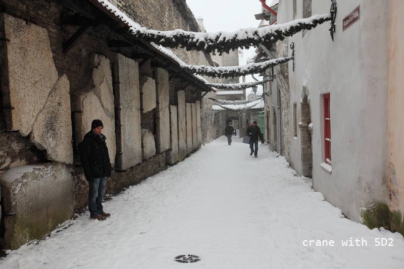 IMG_0791.JPG IMG_0791.JPG