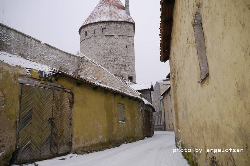 P1080018.JPG P1080018.JPG