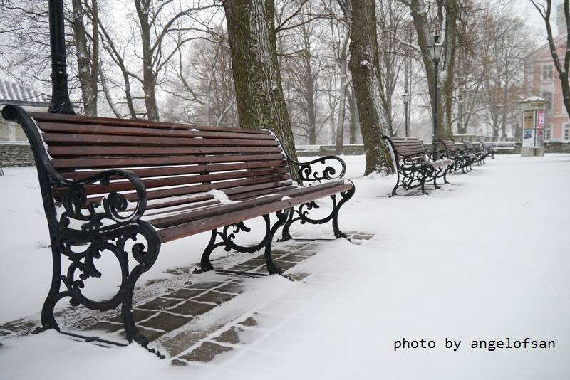 P1070859.JPG P1070859.JPG