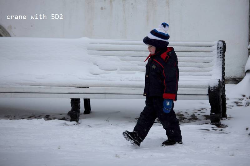 IMG_0495.JPG IMG_0495.JPG