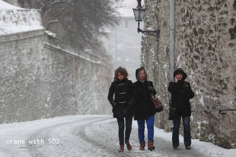 IMG_0564.JPG IMG_0564.JPG