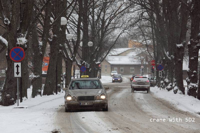 IMG_0643.JPG IMG_0643.JPG