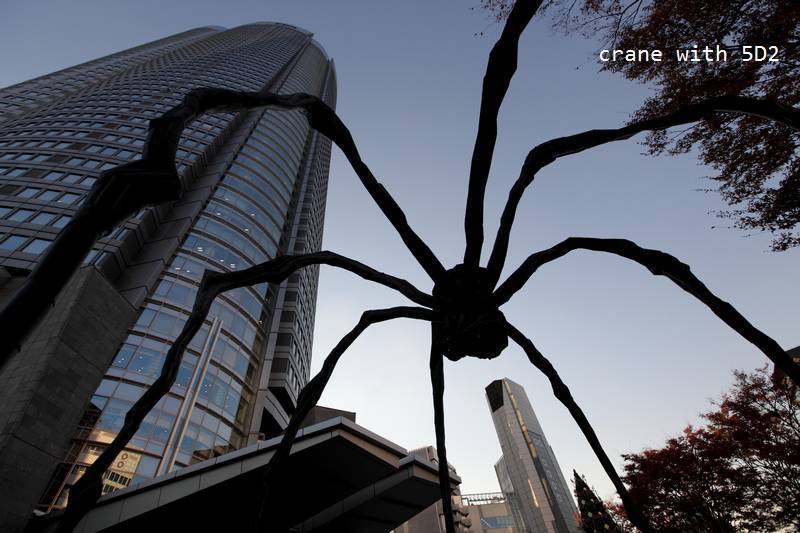 IMG_6609.JPG IMG_6609.JPG