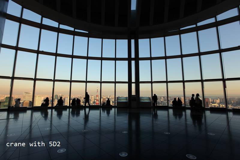 IMG_6623.JPG IMG_6623.JPG