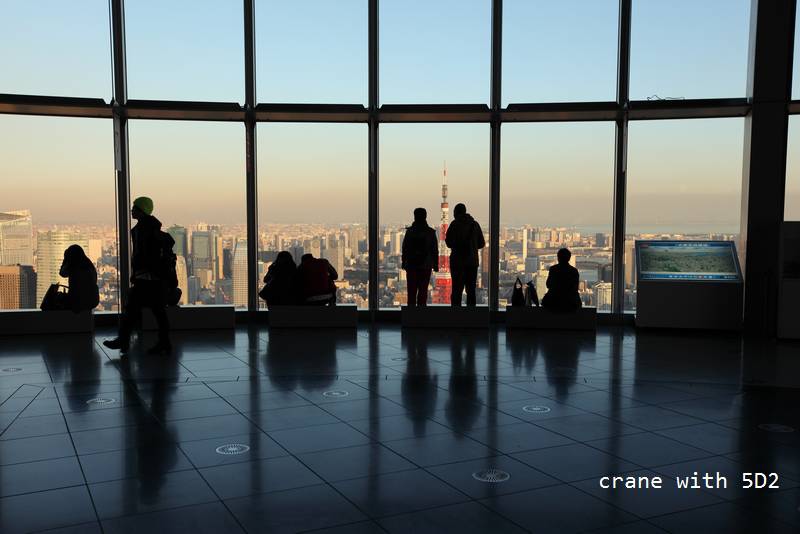 IMG_6626.JPG IMG_6626.JPG