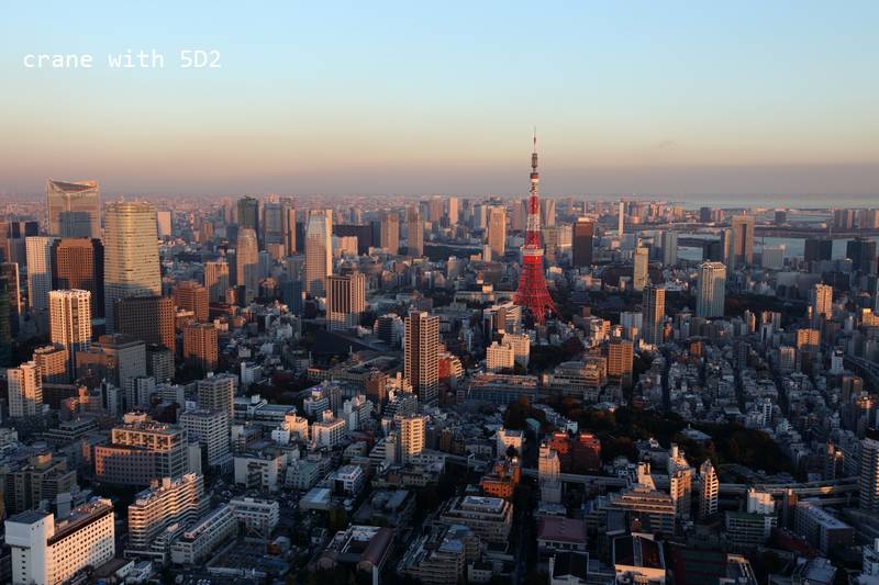 IMG_6651.JPG IMG_6651.JPG