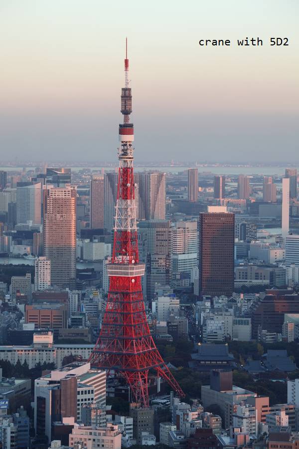 IMG_6659.JPG IMG_6659.JPG