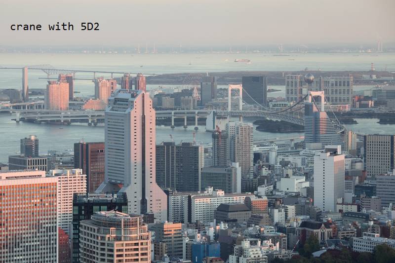 IMG_6660.JPG IMG_6660.JPG