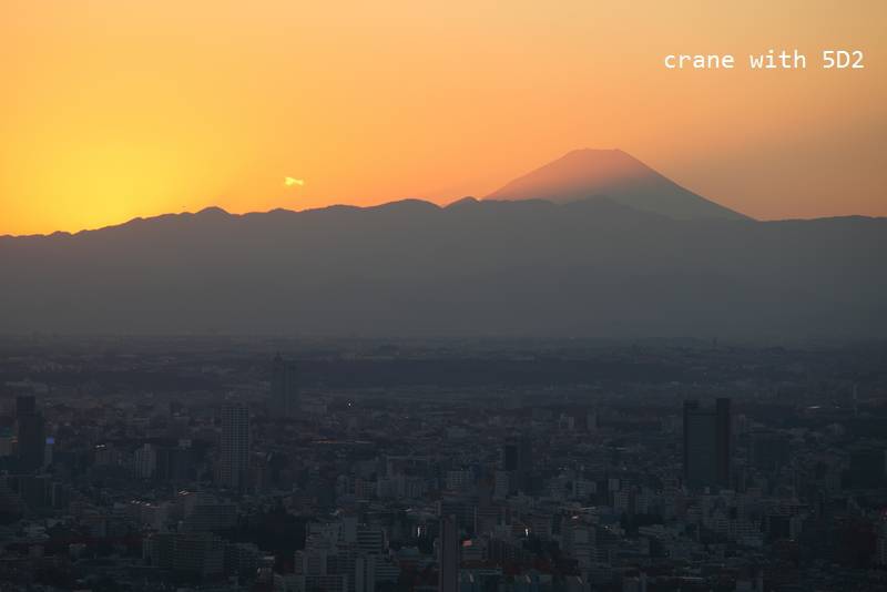 IMG_6669.JPG IMG_6669.JPG