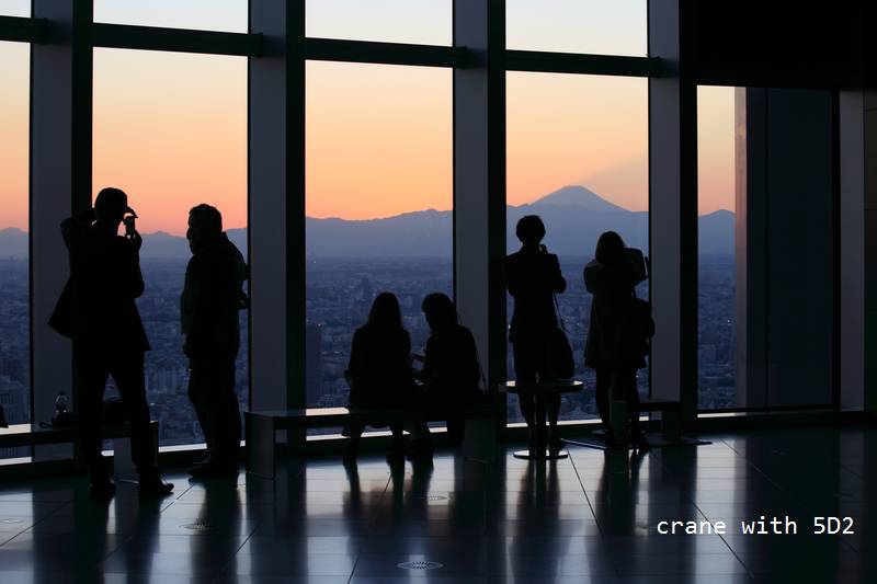 IMG_6683.JPG IMG_6683.JPG