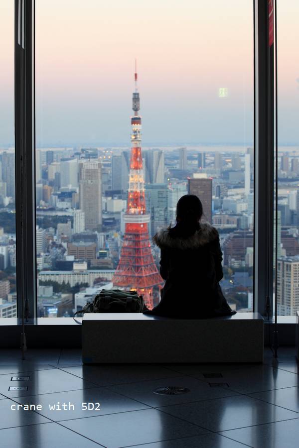 IMG_6685.JPG IMG_6685.JPG