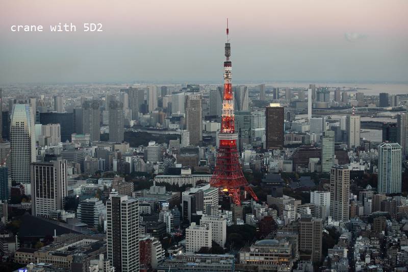 IMG_6696.JPG IMG_6696.JPG