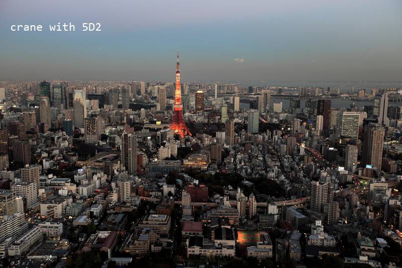 IMG_6704.JPG IMG_6704.JPG