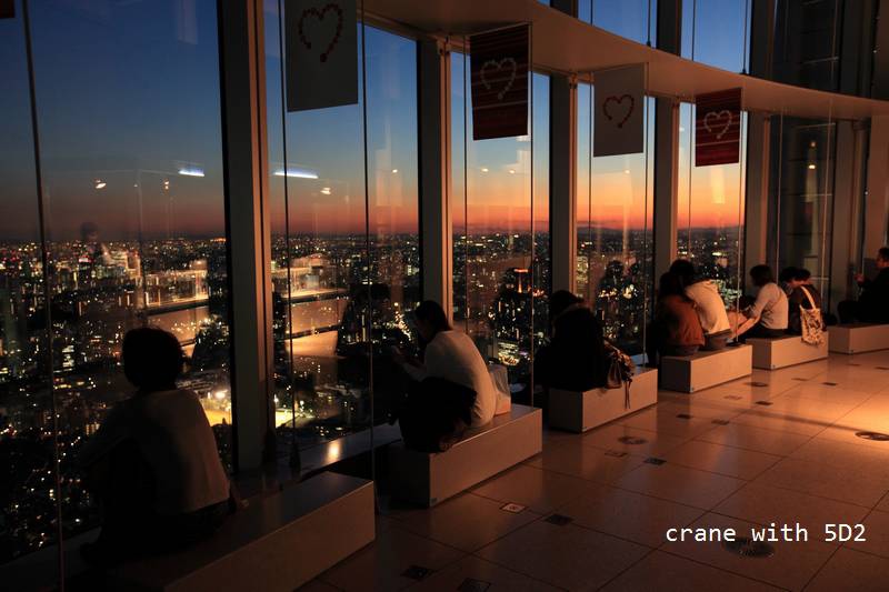 IMG_6732.JPG IMG_6732.JPG