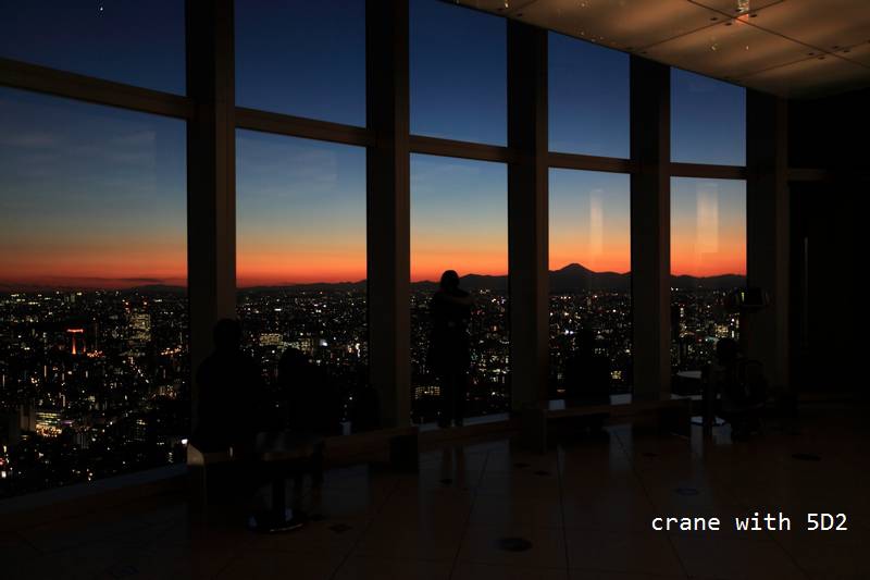 IMG_6742.JPG IMG_6742.JPG