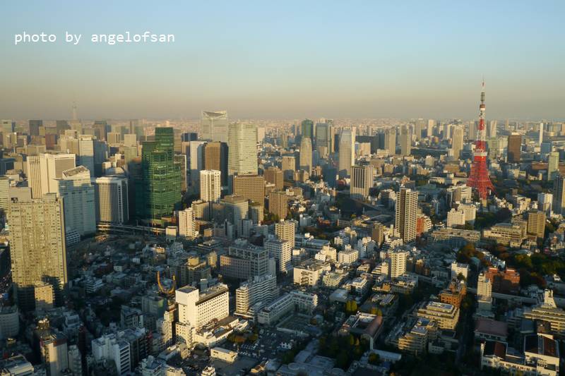 P1190708.JPG P1190708.JPG