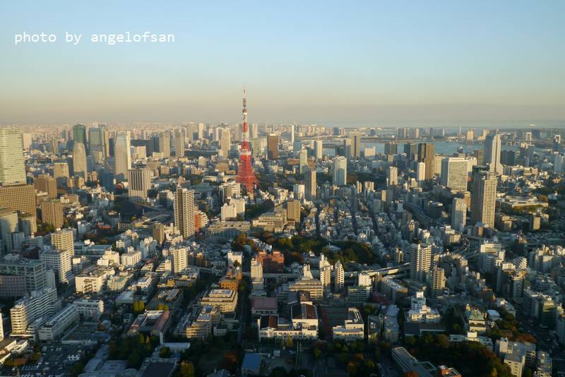 P1190709.JPG P1190709.JPG