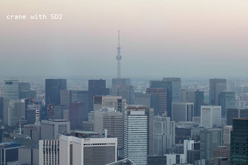 IMG_6664.JPG IMG_6664.JPG