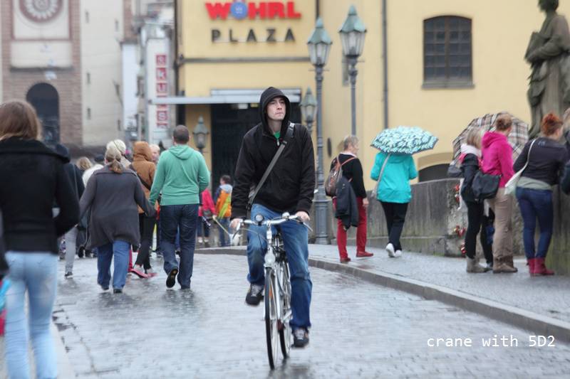 IMG_3913.JPG IMG_3913.JPG